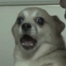 경은타이어 | 발리에서 생긴 일.Day3