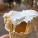 삼광파크 | 12월 1주차 주간일기(전독시,만화카페이야기)