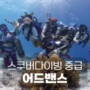 펀펀스포츠 | [서울 스쿠버다이빙 자격증] 비용 추가 없는 올인클루시브 내돈내산 오픈워터 후기!