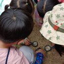 천전초병설유치원 이미지