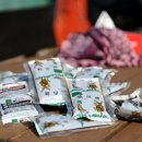 점박이 농장 이미지