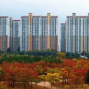 화랑유원지 이미지