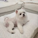 몬스쿨