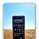 남도삼백리길(1코스) | 2025 남도 겨울 사진 여행 순천 편 - 남도 삼백 리 1코스 순천만 갈대숲을 걷다.