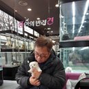 내 품안의 반려견(강서점) 이미지