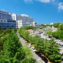 아산병원 이미지