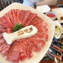 2024 | 대전 한우 맛집 쌍청고기마을 판암동 소고기 맛있는 식당 대전추석한우선물