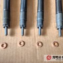 애니카랜드대저점 이미지