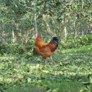 한라농장 이미지