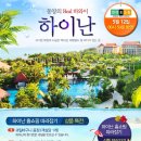 비제골프투어 이미지