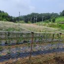 덕장농장 이미지