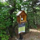 원주굽이길 1코스 배부른산길 이미지