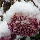 첫눈에반하다 이미지