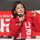 나경원 "尹 정부 혼나도 할말 없지만…야당 200석이면 탄핵 난장" 이미지