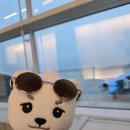 휴앤탐(휴N탐) | 260704 넥스지 방콕 음츠크 쇼케이스 후기