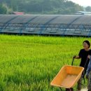 왕창농장 이미지