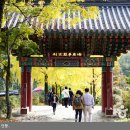 우리나라 대표 서원인 소수서원을 통해서 본 서원의 역사와 의의