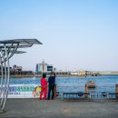 어항단지로 이미지