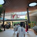 NOL ZOO | [여행] 싱가포르 동물원 / Mandai Singapore Zoo / 코끼리 먹이주기 체험