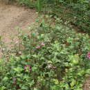 흥덕초등학교 이미지