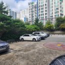 금정초등학교 뒤 이미지