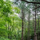 타이어테크 문경점 | 도전! 백두대간 52령 투어