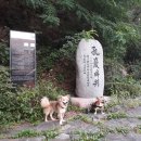 서울개공원 이미지