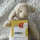 서이약국 | 동행축제 유아 액상 퀘르세틴 브레루션 후기