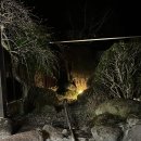 (유)행복렌트카 이미지