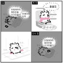 머리도시