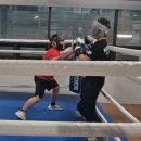 용인대W복싱짐 이미지