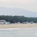 맹방해변로 이미지