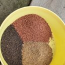 매송낚시터 이미지