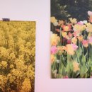 센텀린의원 이미지