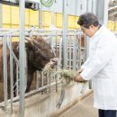 허브축산 이미지