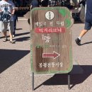 봉평면사무소 | 평창 봉평오일장, 먹거리 풍성! 여행의 시작 운이 좋았다.🌿