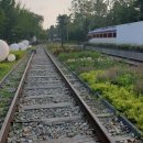 ＜에세이＞춘천가는 날 이미지