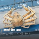 평택 소사벌 대게나라 점심 저녁 추천 킹크랩 맛집