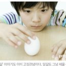 과학에세이 21 - 하나의 세포로 이루어진 달걀의 신비 이미지