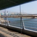 8월의 BUSAN