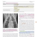 canine에서 systemic hypertension과 aortic remodeling사이의 관계 이미지