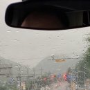 생림대로 이미지