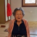 비야경로당 Daum카페