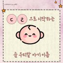 다미다원 이미지