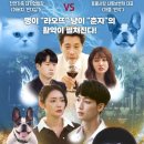 주식회사 펫생각 이미지