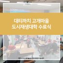 괴정2동-19 네이버블로그
