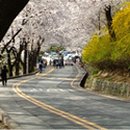 남산분식 이미지