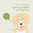 더블유동물의료센터 이미지