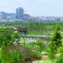 한밭수목원 이미지