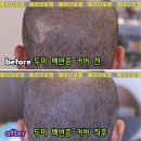 헤이브로 - 용인시 처인구 백자로156번길 1 | 헤이브로